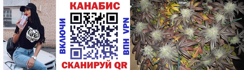 Каннабис SATIVA & INDICA  как найти наркотики  Орехово-Зуево 
